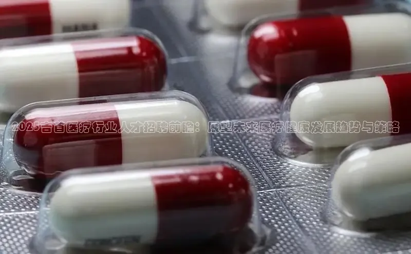 3377体育官方在线登录入口