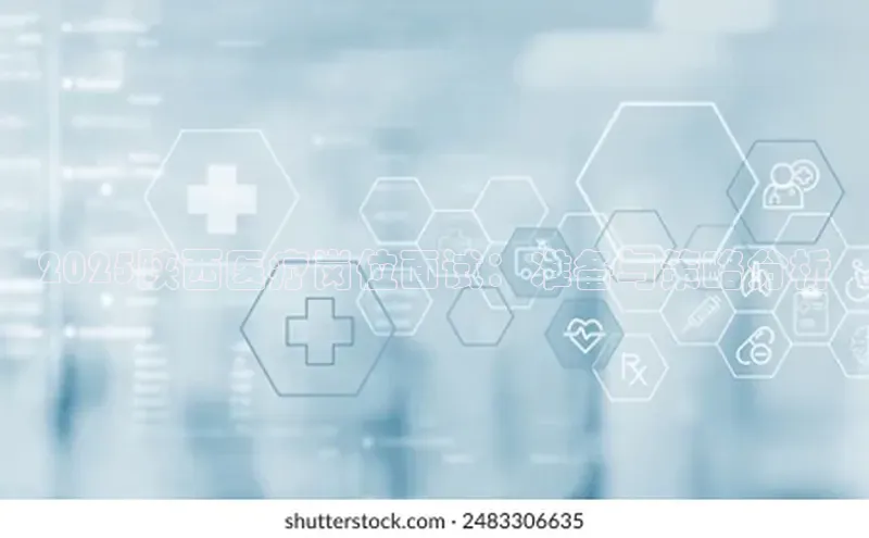 3377体育app登录入口