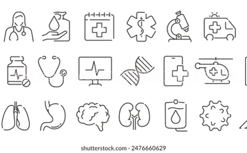 3377体育网页入口