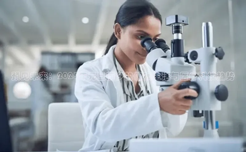 3377体育app登录入口