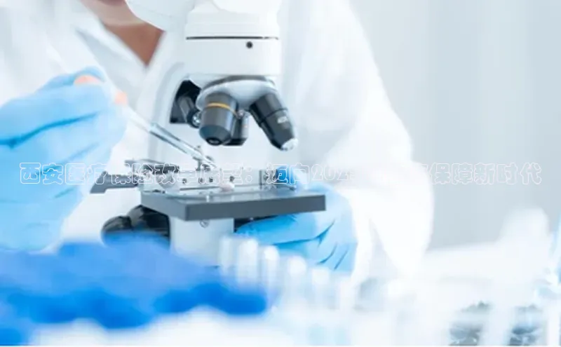 3377体育app登录入口