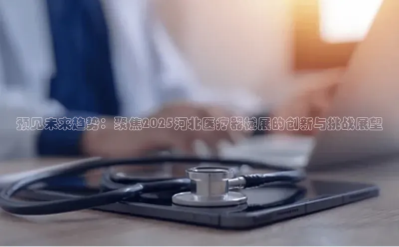 3377体育官网入口网页版