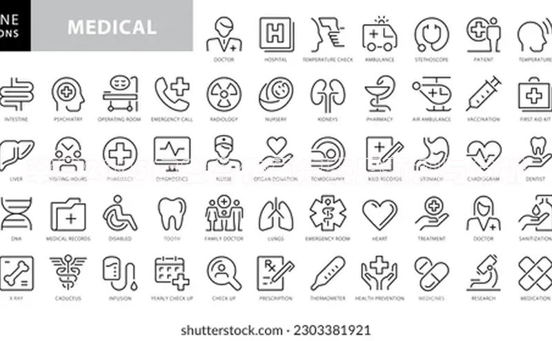 3377体育app登录入口