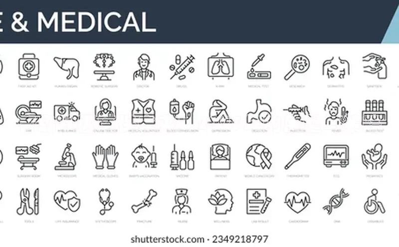 3377体育网页入口
