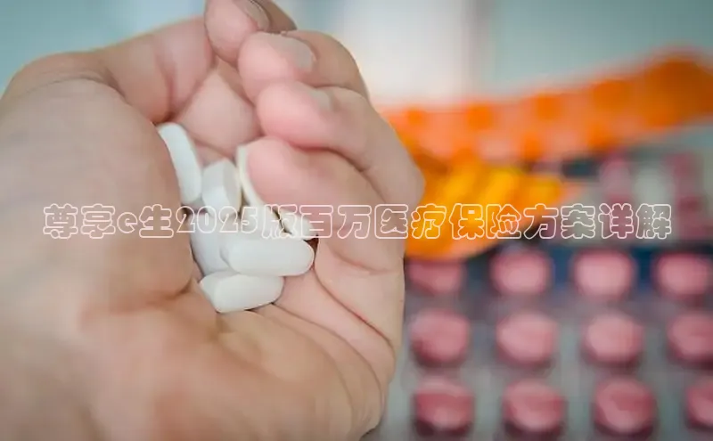 3377体育app登录入口