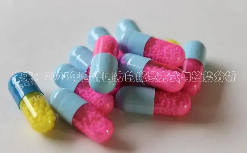 3377体育网站平台登录