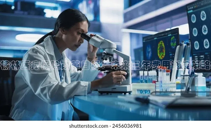 3377体育电子