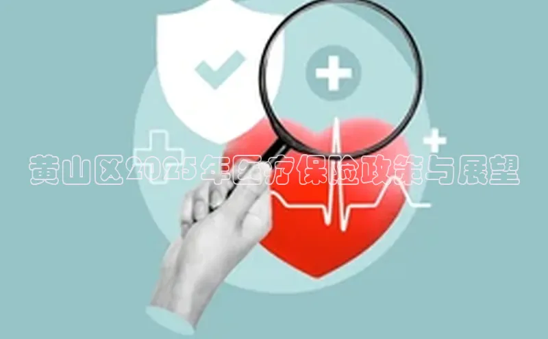 3377体育官网入口网页版