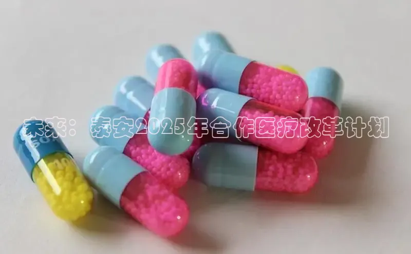 3377.体育网站平台登录